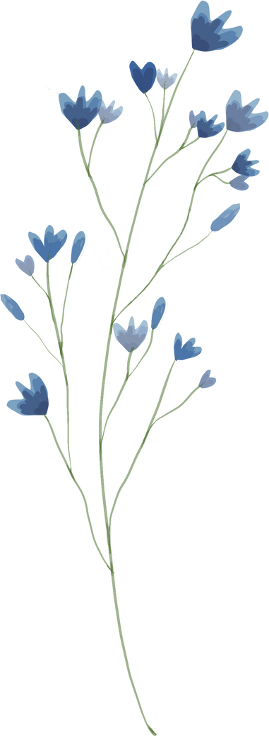 Watercolor Blue Flowers