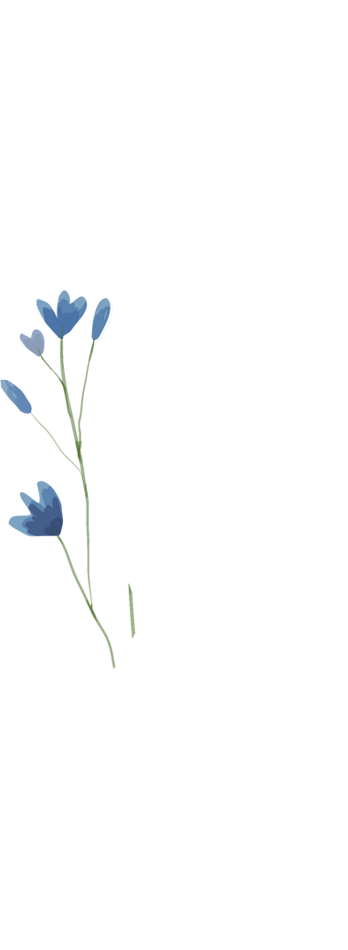 Watercolor Blue Flowers